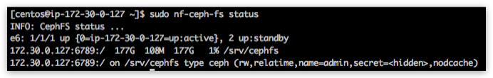 CephFS service status